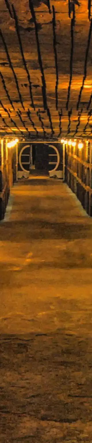 Geniesse guten Wein in Milestii Mici